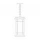 Avenue Long Body Pendant Eight Inch